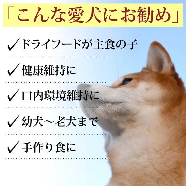 犬 酵素 国産 青パパイヤ粉末 手作り食 野菜粉末 消化酵素 エンザイム 生肉 生食 ドッグフードにトッピング サプリメントとして ドッグフの通販はau Pay マーケット 帝塚山ハウンドカム