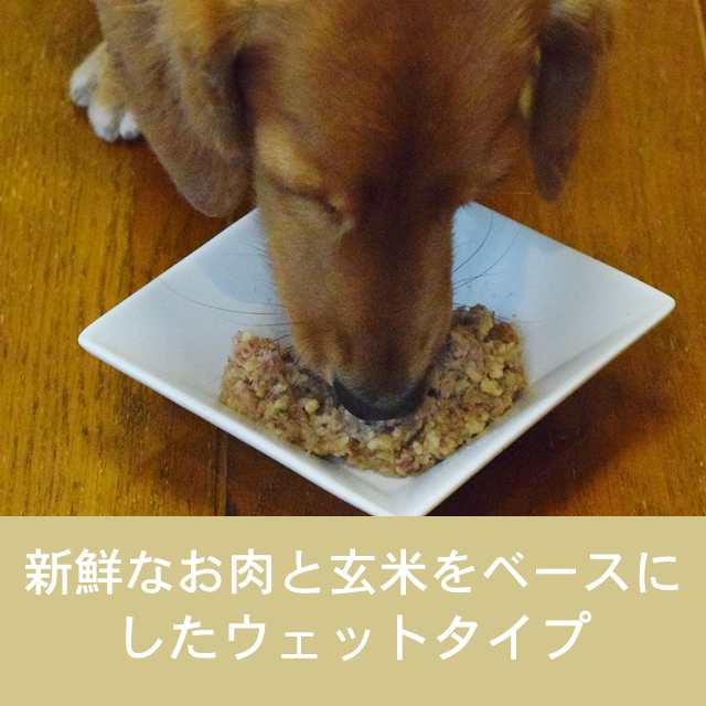 テラカニス クラシック ターキー 玄米入り400g 犬用缶詰 ドッグフード ウェットフード 無添加 ターキー玄米ダンデライオン 400g の通販はau Pay マーケット 帝塚山ハウンドカム