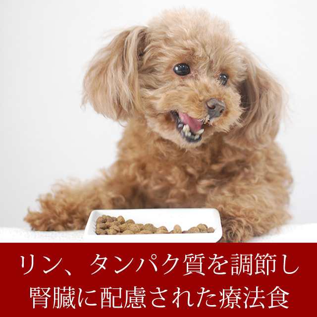 Forza10療法食 犬用リナールアクティブ 腎臓ケア 100g フォルツァディエチ 小粒 犬のごはん お試し 小袋 Forza10 腎臓療法食 低の通販はau Pay マーケット 帝塚山ハウンドカム