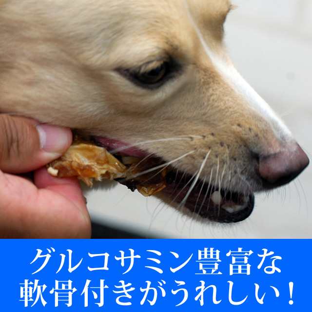 犬おやつ サメチップジャーキー 軟骨付 50g 犬オヤツ 犬のおやつ オヤツ 犬 A0323 鶏肉アレルギーの愛犬にの通販はau Pay マーケット 帝塚山ハウンドカム