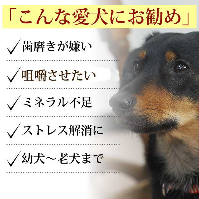 国産 手羽先 ５本入り 犬 手作り食 歯磨き はみがき 犬用 酵素 ドッグフード 生食デンタルケア 生肉 歯みがき 冷凍 無添加 犬の 犬のフーの通販はau Pay マーケット 帝塚山ハウンドカム