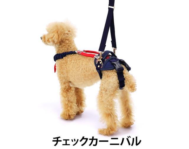 秀でる ストッキング 排他的 犬 用 歩行 補助 磁石 協会 クラッチ 秀でる ストッキング 排他的 犬 用 歩行 補助 磁石 協会 クラッチ