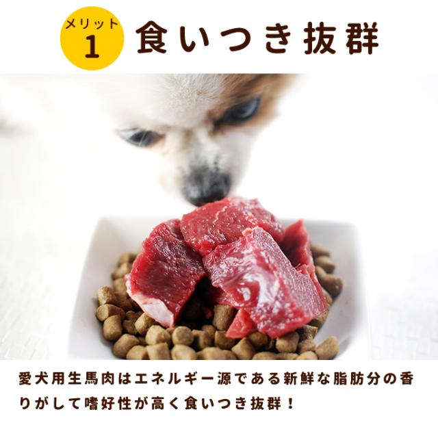 犬用 馬肉 新鮮 馬肉 ブロック 1kg 手作り食に便利な馬肉 ヘルシーだけど栄養満点な馬肉 冷凍 生 馬肉 愛犬のおやつやトッピングにも 穀の通販はau Pay マーケット 帝塚山ハウンドカム 犬用 馬肉 新鮮 馬肉 ブロック 1kg 手作り食に便利な馬肉 ヘルシーだけど栄養満点な馬肉 冷凍 生 馬肉 愛犬のおやつやトッピングにも 穀の通販はau Pay マーケット 帝塚山ハウンドカム