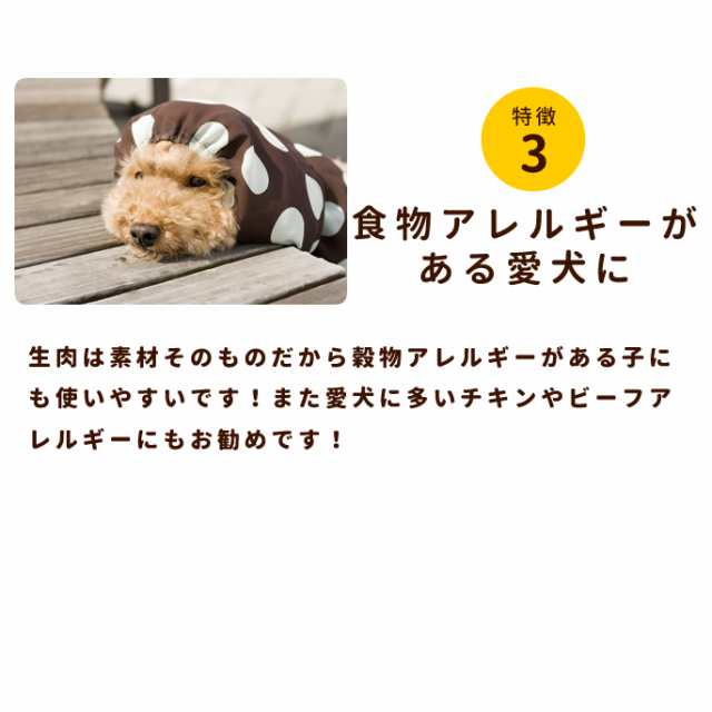 老犬用馬肉 小分けトレー 5kg コエンザイムq10 タウリン aa入り 犬 冷凍 生肉 ミンチ シニア 健康 酵素 消化 ドッグフード 安心 安全 の通販はau Pay マーケット 帝塚山ハウンドカム