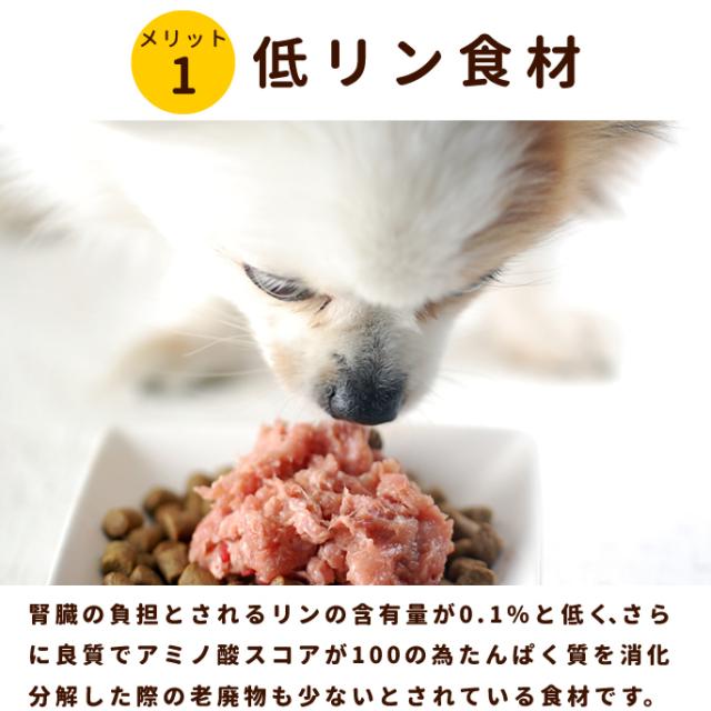 犬用猫用 生肉 腎ケアプラスネック骨ごとミンチ 1kg 鶏肉 生食 手作り食 腎臓 サプリメント配合 白なた豆 クルクミン A0307 ペット用の通販はau Pay マーケット 帝塚山ハウンドカム