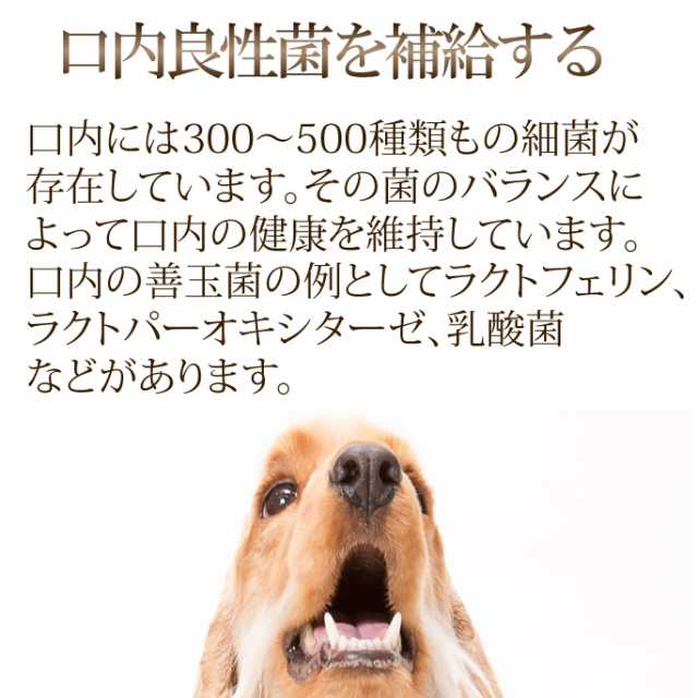 犬 サプリ お口の匂い マウスクリーンpro100g 簡単 デンタルケア ラクトフェリン 犬の歯石 犬のサプリ 歯石ケア 老犬 犬用 A0002 の通販はau Pay マーケット 帝塚山ハウンドカム