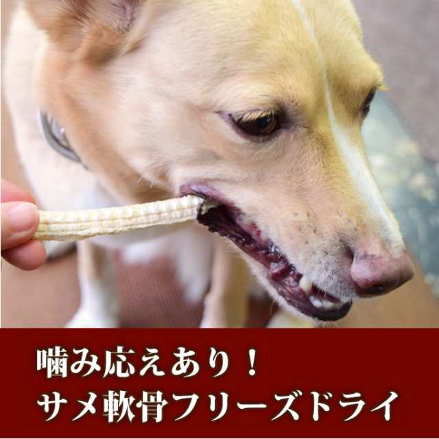 犬用おやつ フリーズドライ Kaimata カイマタ シャークカーティレッジ 40g サメ軟骨 犬用 子犬 成犬 老犬 無添加の通販はau Pay マーケット 帝塚山ハウンドカム