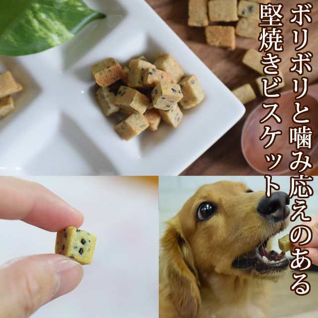 愛犬用 お出かけおやつセット 犬 おやつ さつまいも 保存料不使用 食物繊維たっぷり 干し芋 デンタル 魚のおやつ 魚 無添加 無着色 安心 の通販はau Pay マーケット 帝塚山ハウンドカム