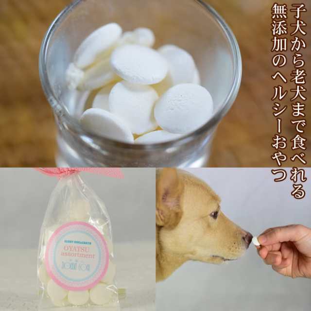 犬用おやつセット ミニギフトおやつアソート 犬のおやつ ドッグフード おやつ ご飯 犬オヤツ 犬おやつ オヤツ わんちゃん A0100 の通販はau Pay マーケット 帝塚山ハウンドカム