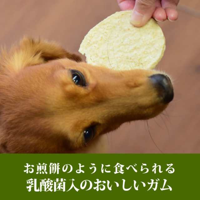 犬用ガム なた豆ライスガム 小判型 5枚入り おやつ ガム なた豆 歯垢 歯石 噛める 噛むおやつ 食いつき抜群 乳酸菌 しっかり噛めるの通販はau Pay マーケット 帝塚山ハウンドカム