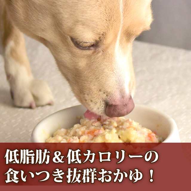 愛犬の安心レトルトごはん 低カロリー馬肉とかぼちゃのミルクがゆ100g 犬用 無添加 国産 低脂肪 低カロリー 乳酸菌入り 消化にやさの通販はau Pay マーケット 帝塚山ハウンドカム