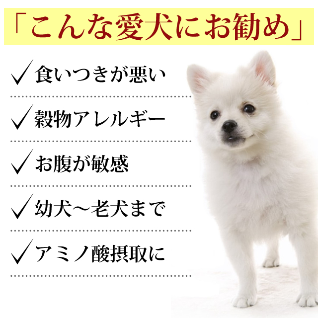 トライプドライ ドッグフード ワイルドサーモン小粒 230g 食いつき抜群 