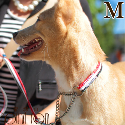 ハーフチョーク 中型犬 Ashu トリコロール ハーフチョークm 27 57cm 単品 シバ ボーダーコリー 犬用 チェーンカラー ハーフチェーン の通販はau Pay マーケット 帝塚山ハウンドカム