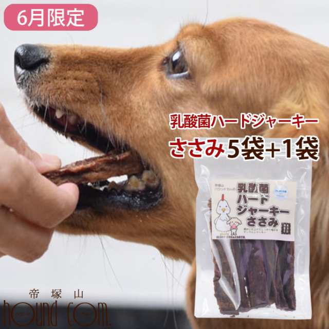 6月限定 犬 おやつ 無添加 デンタル 乳酸菌ハードジャーキーささみ 80g 5 1セット 硬め 鶏 ささみ 噛める 食いつき抜群 小型犬 中型犬の通販はau Pay マーケット 帝塚山ハウンドカム