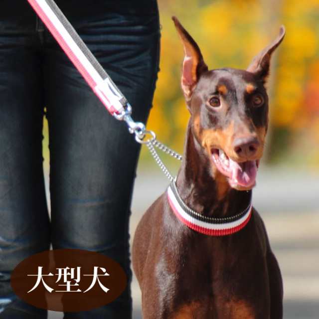 ハーフチョーク 大型犬 Ashu トリコロール ハーフチョークl リードは別売り チョークカラー しつけ トレーニング ハーフカラー ハーの通販はau Pay マーケット 帝塚山ハウンドカム