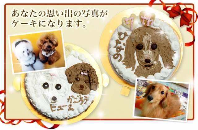 犬のケーキ 似顔絵ケーキ 6号 馬肉 犬 誕生日ケーキ 文字入れ プレゼント 誕生祝い パーティ A0194 の通販はau Pay マーケット 帝塚山ハウンドカム