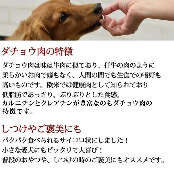 犬猫用おやつ ダチョウコロコロステーキ 5袋セット 犬用 猫用 共用 駝鳥 国産 無添加おやつ ジャーキー お肉のおやつ オヤツ の通販はau Pay マーケット 帝塚山ハウンドカム