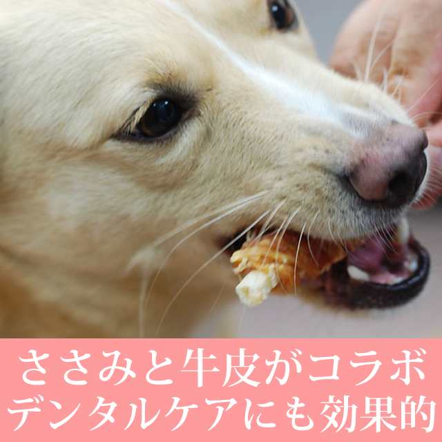 犬 ガム ささみ巻きガム 無添加 国産 肉巻き 猫 ジャーキー 人気のササミジャーキーと牛皮ガムの歯磨きもできる 鶏肉犬 はみがき 犬口ケの通販はau Pay マーケット 帝塚山ハウンドカム