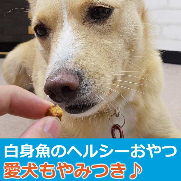 犬 おやつ 無添加獲れたて 白身魚コロコロステーキ ペット おやつ 魚 白身魚 さわら タラ フィッシュ 犬 猫 ジャーキー 犬のおやつ ギフの通販はau Pay マーケット 帝塚山ハウンドカム