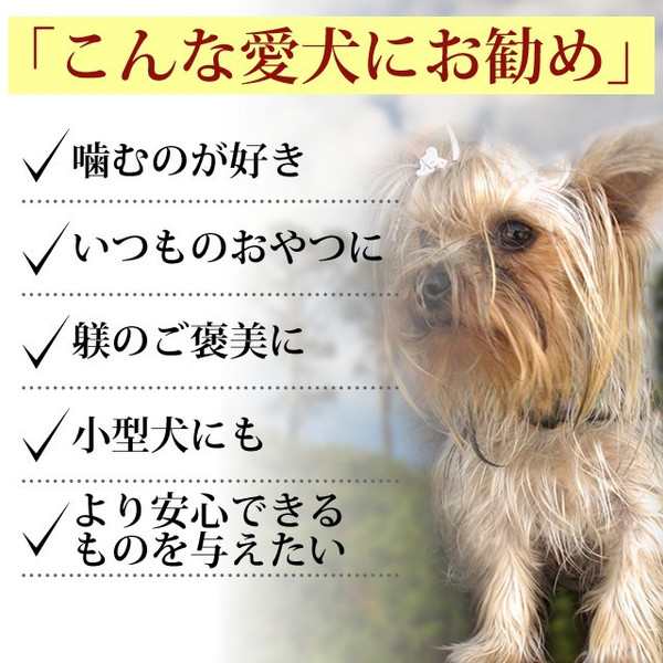 犬用おやつ ダチョウコロコロステーキ 10袋セット 1袋の通販はau Pay マーケット 帝塚山ハウンドカム