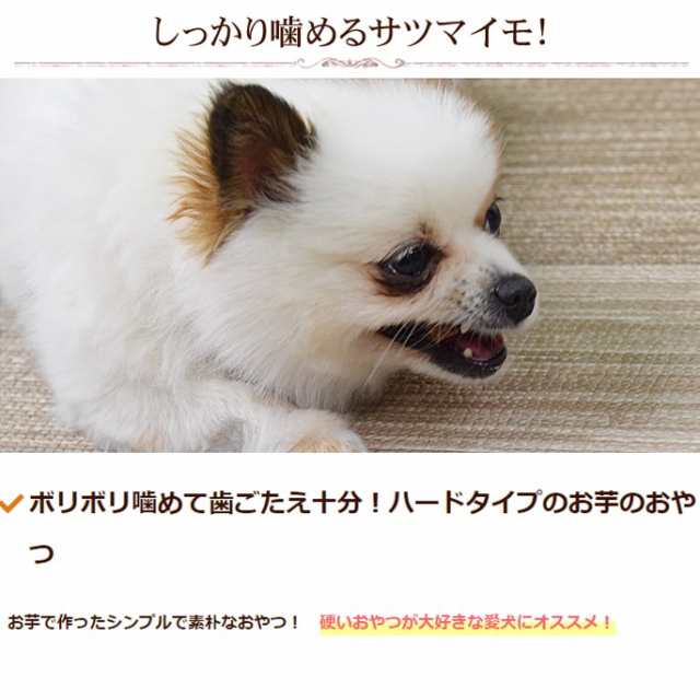 愛犬用おやつ デンタルさつまいもコロコロ 犬用 おやつ さつまいも 芋 デンタル 硬い 小型犬 中型犬 大型犬 ご褒美 しつけ 噛むオヤツ の通販はau Pay マーケット 帝塚山ハウンドカム