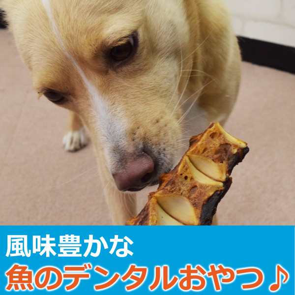 犬 おやつ 無添加獲れたて まぐろボーン ペット おやつ 魚 鮪 マグロ フィッシュ 低カロリー 犬 ジャーキー ギフト オヤツ ワンコ 無添加の通販はau Pay マーケット 帝塚山ハウンドカム