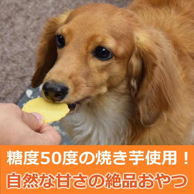 犬 おやつ 無添加 国産手作り 焼き芋 さつまいも 安心の自然のおやつ 保存料不使用 紅はるか おいも 愛犬用 焼き芋せんべい 40ｇ ジャの通販はau Pay マーケット 帝塚山ハウンドカム