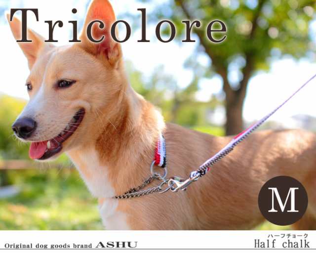 ハーフチョーク 中型犬 Ashu トリコロール ハーフチョークm 27 57cm 単品 シバ ボーダーコリー 犬用 チェーンカラー ハーフチェーン の通販はau Pay マーケット 帝塚山ハウンドカム