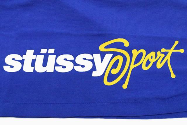 ステューシー STUSSY ハーフパンツ メンズ Sport Water ( stussy short trunk トランク ショートパンツ 水陸両用 水着 スイムウェア 海パン ショーツ ボトムス メンズ・男性用 113151 USAモデル 正規 品 ストゥーシー スチューシー ) ice field icefield_9