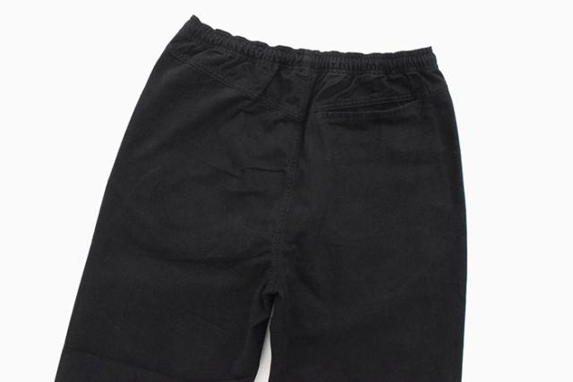 ステューシー STUSSY パンツ メンズ Brushed Beach ( stussy pant イージーパンツ ビーチパンツ ボトムス メンズ・男性用 116553 USAモデル 正規 品 ストゥーシー スチューシー ) ice field icefield_11