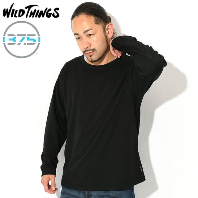ワイルドシングス WILD THINGS ロンT Tシャツ 長袖 メンズ W2LS レベル1 アルピニクス TW ( WILD THINGS W2LS Level1 Alpinix TW L/S Tee ティーシャツ T-SHIRTS ロング ロンティー 長袖Tシャツ カットソー トップス メンズ 男性用 WT23156KB )の通販は