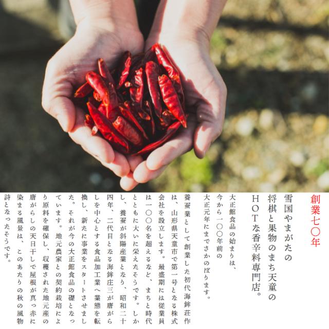 スパイスセット 調味料 詰め合わせ 一味 七味 唐辛子 浅漬けの素 朝鮮漬 万能調味料 薬味 一味唐辛子 国産 簡単 下味 焼肉のたれ foodの通販は