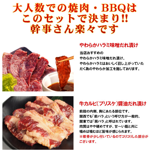 焼肉 計約5kg 焼肉セット バーベキューセット 送料無料 焼肉 12-15人前 特撰人気盛りBBQセット ハラミ カルビ マルチョウなど計11種 BBQ バーベキュー 肉 情熱ホルモン 情ホル 食品 牛肉_2