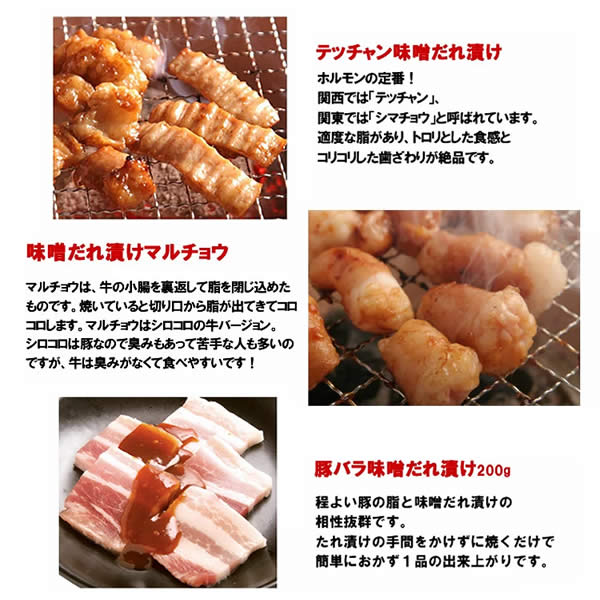 焼肉 計約5kg 焼肉セット バーベキューセット 送料無料 焼肉 12-15人前 特撰人気盛りBBQセット ハラミ カルビ マルチョウなど計11種 BBQ バーベキュー 肉 情熱ホルモン 情ホル 食品 牛肉_4