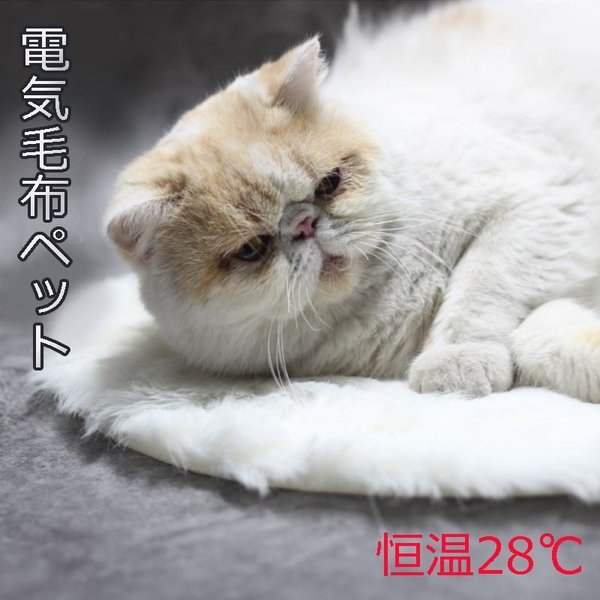 冬のペット猫犬 ふわふわ 暖かい マット ペット用ホットカーペット USB 