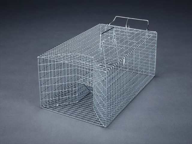 エスコ(ESCO) 280x465x180mm ねずみ捕獲器 EA650-6の通販は