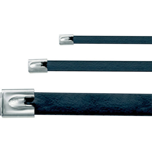 パンドウイット フルコーティングステンレススチールバンド 幅4.6X長さ201mm 黒 100本 MLTFC2S-CP316の通販は