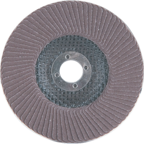 AC(イチグチ) テクノディスク・A-S #120 φ100 5枚入 TDS10015-A-120の通販は