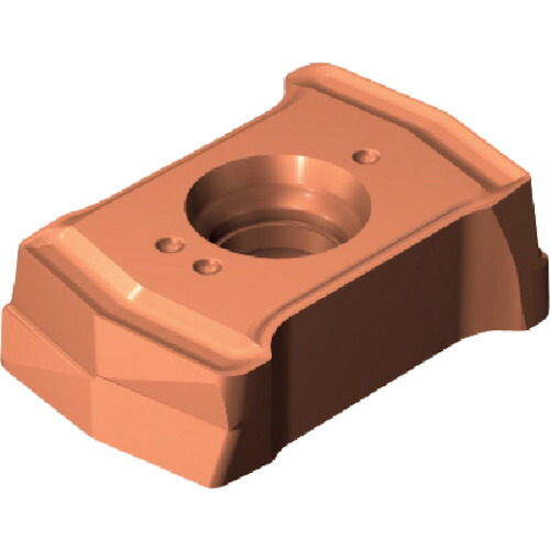 SANDVIK(サンドビック) コロドリルDS20チップ 2044 DS20-0306-P-L5W 2044の通販は