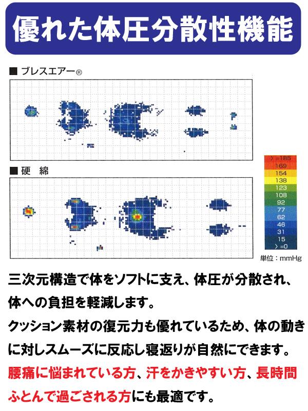 送料無料 ごろ寝敷き布団 70×120×5cm ブレスエアー オールシーズン 芯まで洗える 抗菌防臭 日本製 16便 ASS0003T E-02