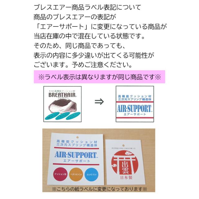 送料無料 ごろ寝敷き布団 70×120×5cm ブレスエアー オールシーズン 芯まで洗える 抗菌防臭 日本製 16便 ASS0003T E-02