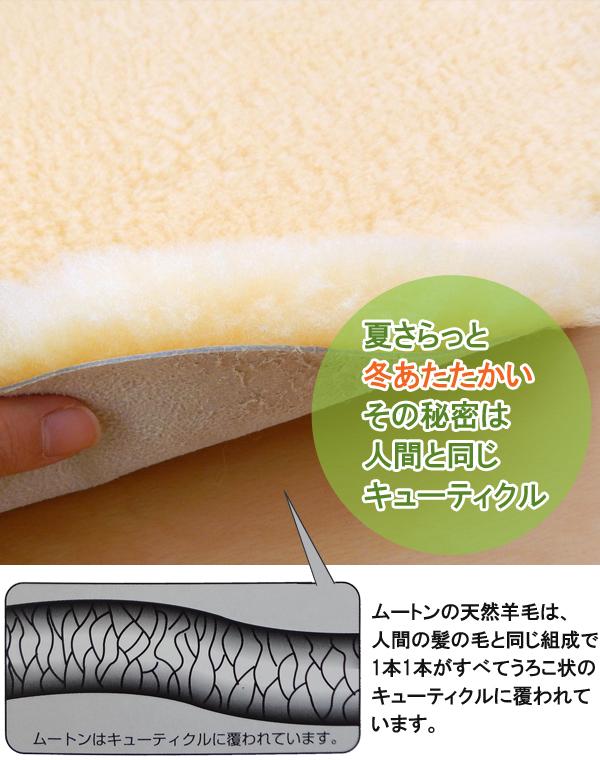 日本製 舛田製 メディカルムートンラック 1.5匹物 床ずれ防止などに 毛長25mm 医療・介護用 ますだ製 MM-1.5P_5
