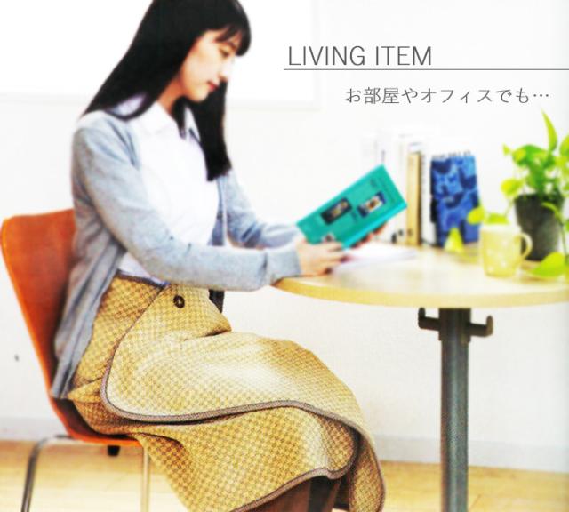 2枚セット　ロマンス小杉 ロマンス岩盤浴 あったか掛けカバー imgrc0086690583.jpg