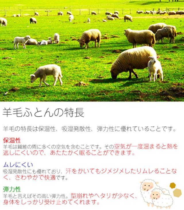日本製 シングル 羊毛ふとん二点セット 羊毛布団セット ペイズリー 新生活 丸洗いOK 掛敷ふとんセット 防ダニ・抗菌消臭加工 綿100％ 742