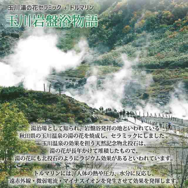 豪華特典】専用カバー付き 温熱敷き布団 岩盤浴ふとんDX 140×200cm ダブル 玉川岩盤浴物語 トルマリン ラジウム効果 軽量  日本製の通販はau PAY マーケット - 寝ころん太くん | au PAY マーケット－通販サイト