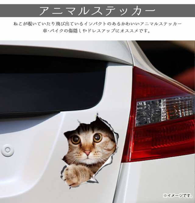 カーステッカー 猫 シール かわいい 動物 アニマル ドレスアップ 車 バイク カー用品 ステッカー カーステッカー 傷隠しの通販はau Pay マーケット カルム