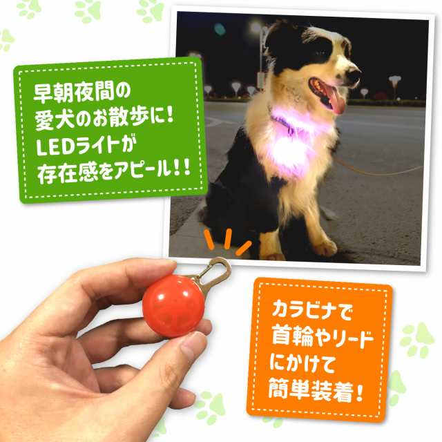 お散歩ライト 犬 夜 Led 散歩 ひかる 光る ペット 安全 Led 事故防止 首輪 リード おさんぽ キーホルダー 点灯 点滅 ランニング ウォーキの通販はau Pay マーケット モアバリュー