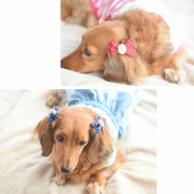 犬 ヘアアクセサリー フリル レース リボン ヘアピン 2点セット A 髪飾り ハンドメイドの通販はau Pay マーケット Hapi Co