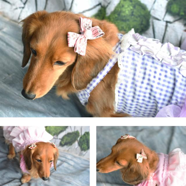 犬 ヘアアクセサリー リボン コーム ヘアピン 2点セット F ポップ 髪飾りの通販はau Pay マーケット Hapi Co