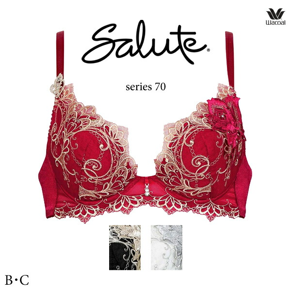salute　サルート　03G 03グループ　E70 セット IV P-UP salute サルート 03G 03グループ E70 セット IV P-UP - メルカリ